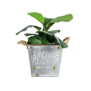 Farmers Market Galvanised Square Planter