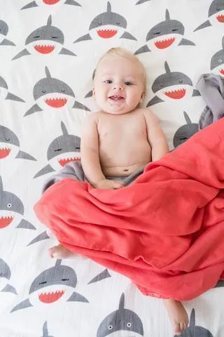 Tula Blanket Set - Chomp